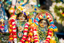 Daily Darshan