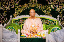 Daily Darshan