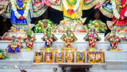 Daily Darshan