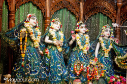 Daily Darshan