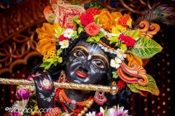 Daily Darshan