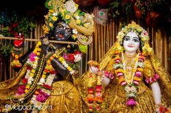 Daily Darshan