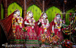 Daily Darshan