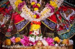 Daily Darshan