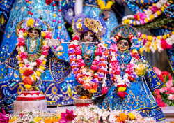 Daily Darshan