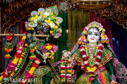 Daily Darshan