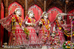 Daily Darshan