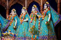 Daily Darshan