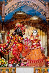 Daily Darshan