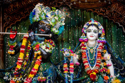 Daily Darshan