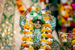 Daily Darshan