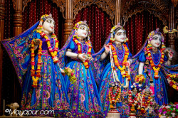 Daily Darshan