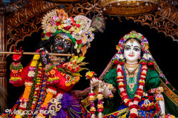 Daily Darshan