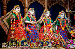 Daily Darshan