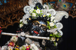 Daily Darshan