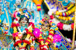 Daily Darshan