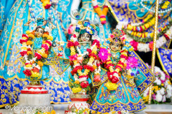 Daily Darshan