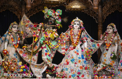 Daily Darshan