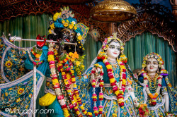 Daily Darshan