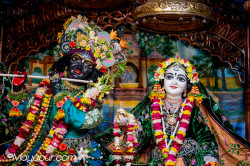 Daily Darshan