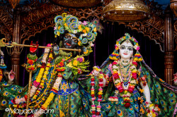 Daily Darshan