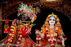 Daily Darshan