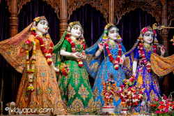 Daily Darshan