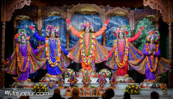 Daily Darshan