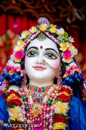 Daily Darshan