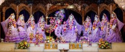 Daily Darshan