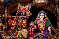 Daily Darshan