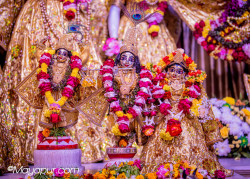 Daily Darshan