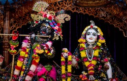 Daily Darshan