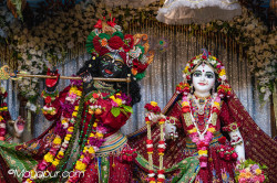 Daily Darshan
