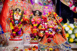 Daily Darshan