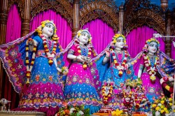 Daily Darshan