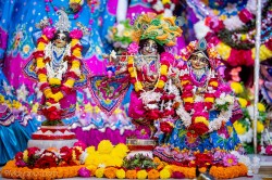 Daily Darshan