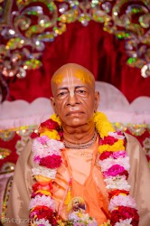 Daily Darshan