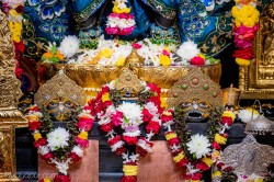 Daily Darshan