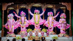Daily Darshan
