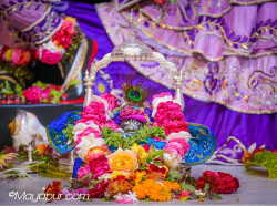 Daily Darshan