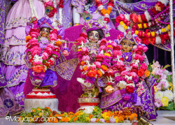 Daily Darshan