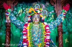 Daily Darshan