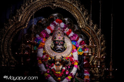 Daily Darshan