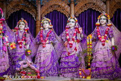 Daily Darshan