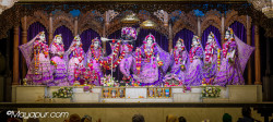 Daily Darshan