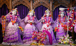 Daily Darshan