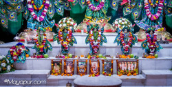 Daily Darshan