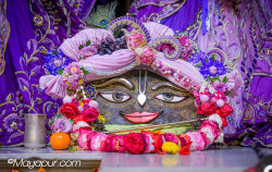 Daily Darshan