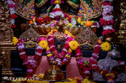 Daily Darshan